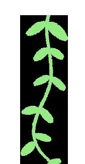 老年人乐享扑克大赛活动_GG扑克友谊赛活动_临江镇春日扑克大赛
